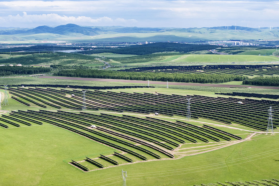 A photovoltaic project in Tongliao, Inner Mongolia, on June 29. Photo: VCG