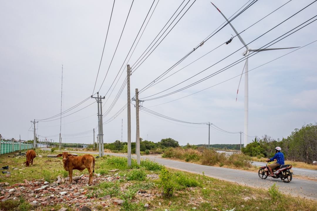 A motorist rides under a number of power lines in Vietnam’s Ben Tre province in March 2023. Photo: VCG
